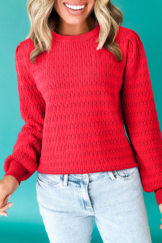 Fiery Red Trendy Pattern Knit Ribbed Cuffs Crew Neck Sweater