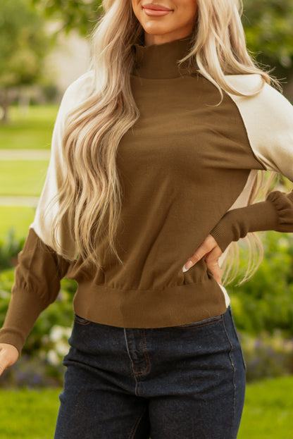 Desert Palm Colorblock Raglan Puff Sleeve Mock Neck Sweater