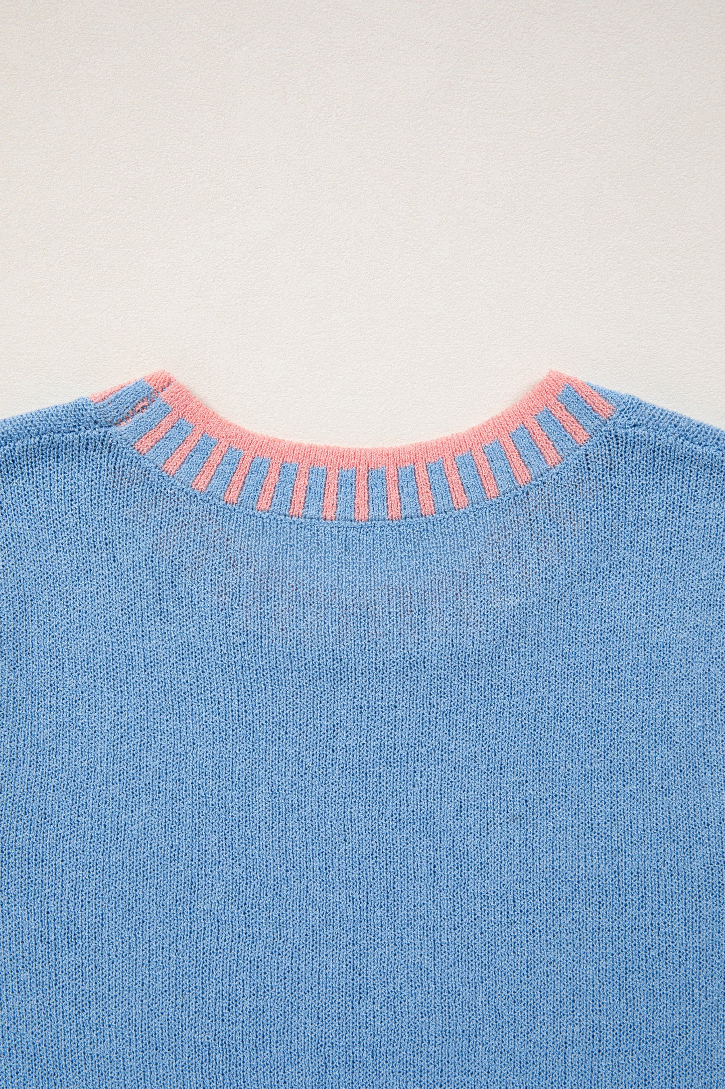 Sky Blue Contrast Trim Round Neck Sleeveless Sweater