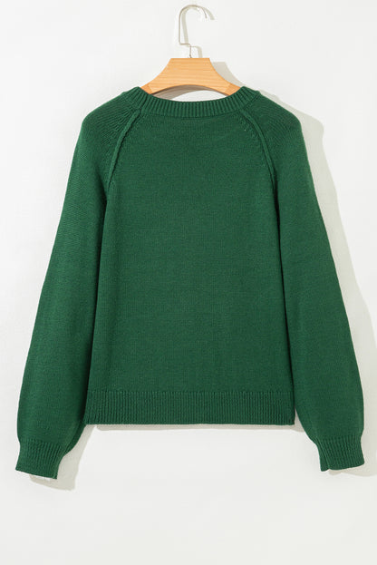 Evergreen Raglan Sleeve Crew Neck Sweater