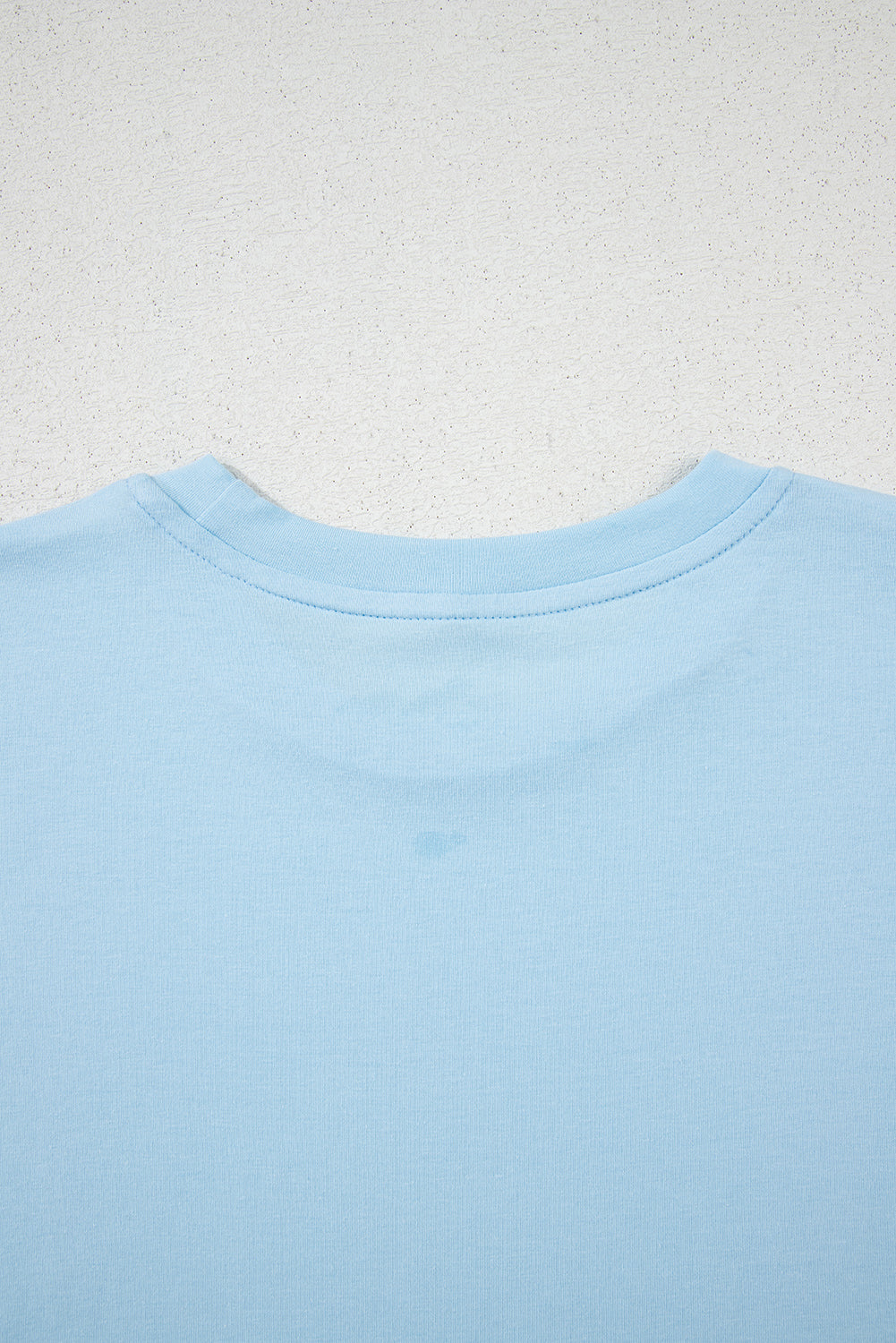 Light Blue Bright Casual Plain Crew Neck Tee